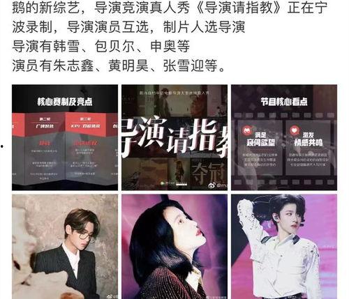 圈内人士爆料朱志鑫视频,圈内人士揭秘幕后真相 第2张 圈内人士爆料朱志鑫视频,圈内人士揭秘幕后真相 第2张